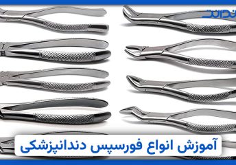 عکس از چندین فورسپس های دندانپزشکی