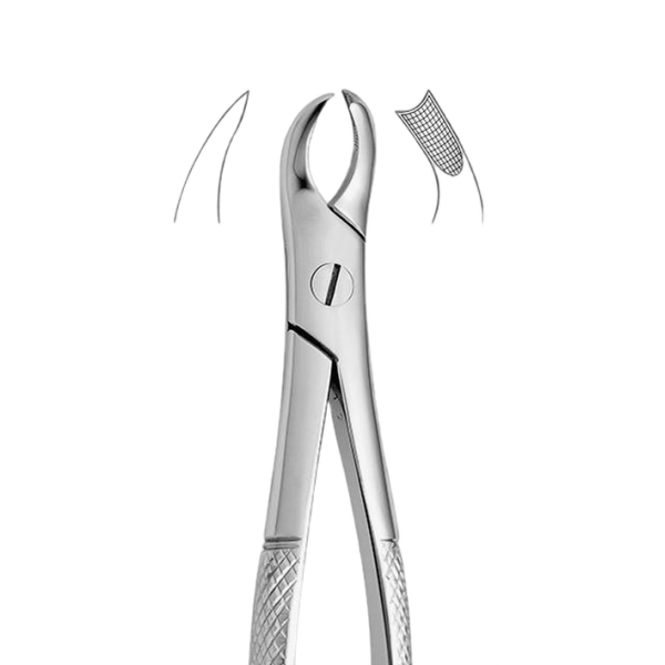 فورسپس مولر فک بالا راست - Upper Molars Right Deep Gripping Forceps 2500/ N.89