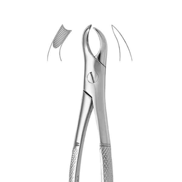 فورسپس مولر فک بالا چپ - Upper Molars Left Deep Gripping Forceps 2500/ N.90