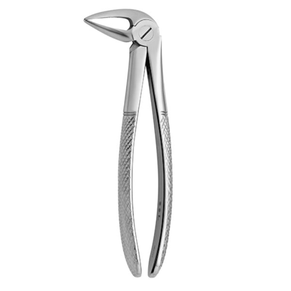 فورسپس - Tooth Forceps N.33-L