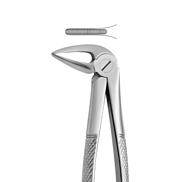 عکس فورسپس Tooth Forceps N.33-L برند مدچی