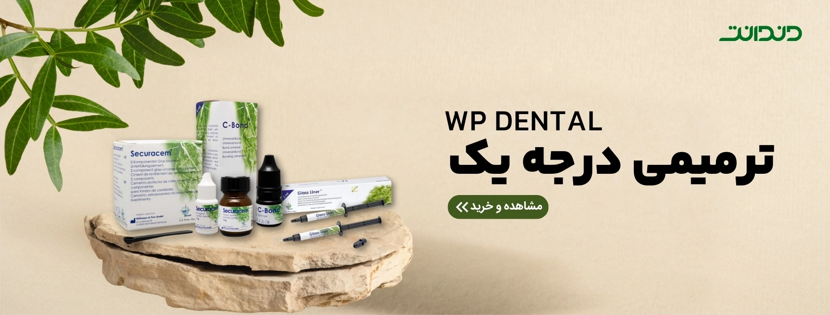 WP-Dental